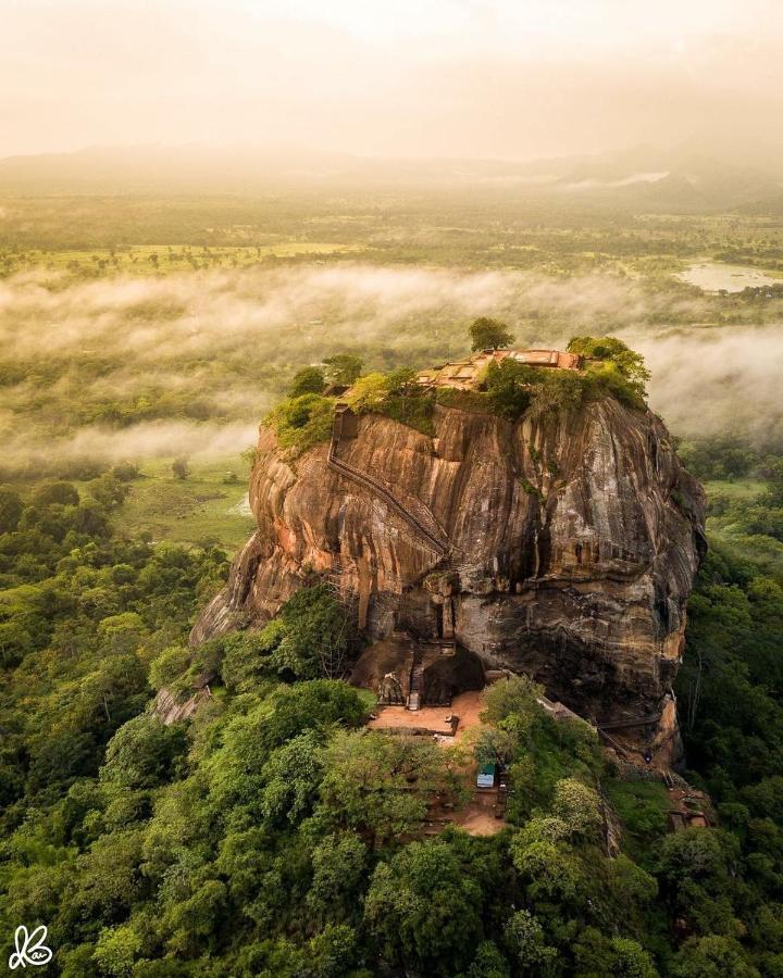 Hungry Lion Sigiriya 호텔 외부 사진